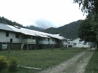 An exterior view of Bario Asal longhouse. (65Kb)